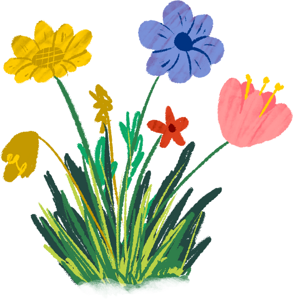 Story Book Meadow Flowers